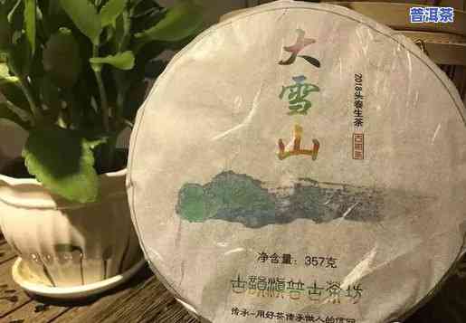 06年勐库大雪山原生古茶，探索云南茶文化：品鉴06年勐库大雪山原生古茶的独特韵味