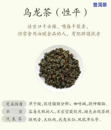 普洱茶与鸟龙茶：口感比较与选择建议