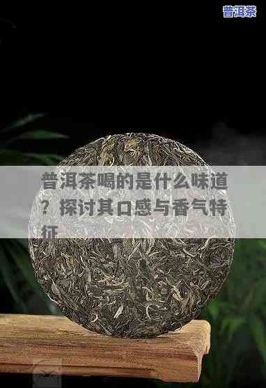 普洱茶为什么有土味？探究其来源与味道特性