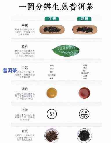 小甘菊普洱茶：是生茶还是熟茶？探讨其优缺点