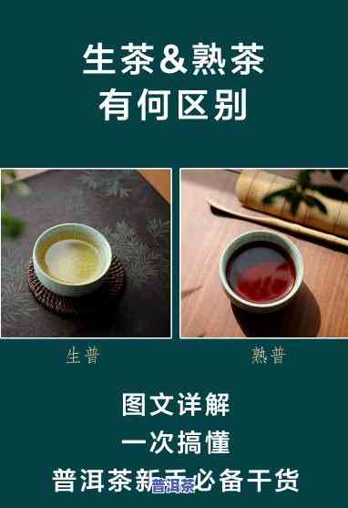 小甘菊普洱茶：是生茶还是熟茶？探讨其优缺点