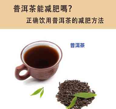 喝了不长胖普洱茶真的有效吗？女性适合饮用吗？