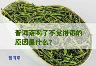 为什么喝了普洱茶感觉不饿？探究其起因