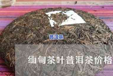 旧庙寨普洱茶价格多少钱-旧庙寨普洱茶价格多少钱一斤