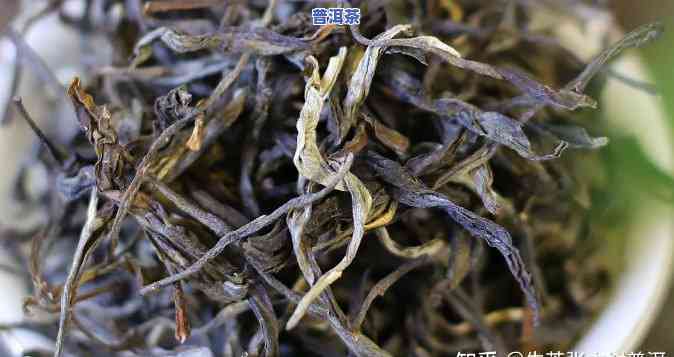 怎样看普洱茶成色不变？详细视频教程