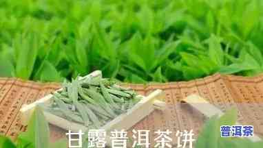 勐普甘露普洱茶叶价格，探寻勐普甘露普洱茶叶的价格，品味茶中甘露