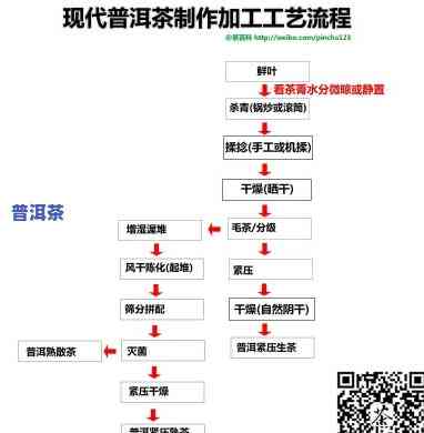 普洱茶揉捻抛条工艺流程图片大全及价格