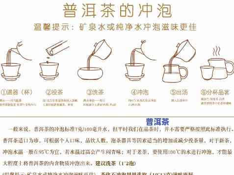 普洱茶与黑茶怎样冲泡口感更佳？详细教程视频及图片分享