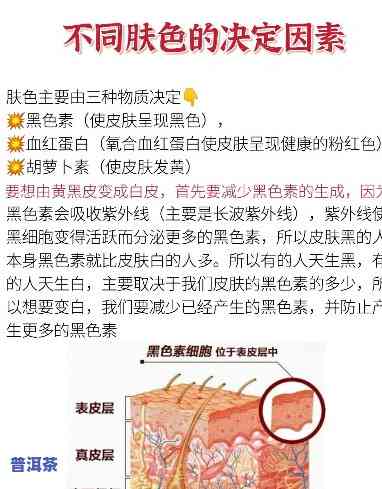 探究普洱人皮肤为何偏黑：气候、饮食还是遗传？