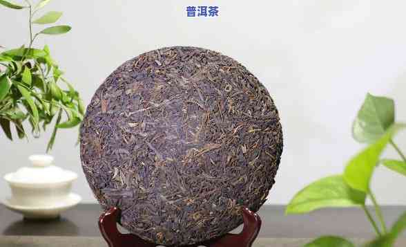 易武普洱茶哪个香型性价比高？口感怎样？