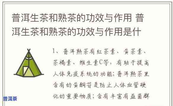 榴莲配生普洱茶：有何功效与禁忌？