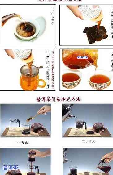 怎样冲泡好熟普洱茶视频-怎样冲泡好熟普洱茶视频教程