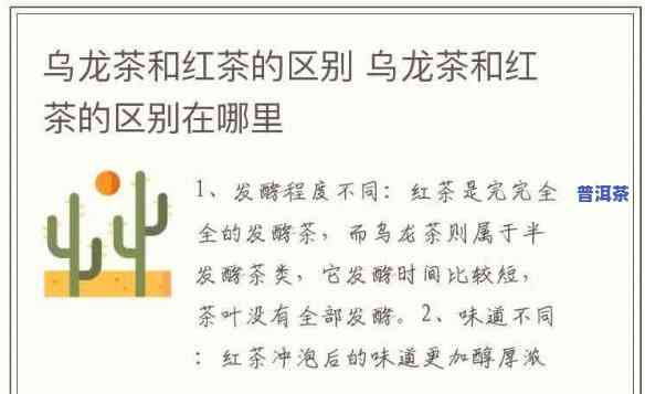 红茶普洱茶和乌龙茶区别大吗，深入解析：红茶、普洱茶与乌龙茶的区别究竟有多大？