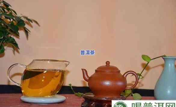 老陈普洱茶功效作用，探秘老陈普洱茶的神奇功效与作用