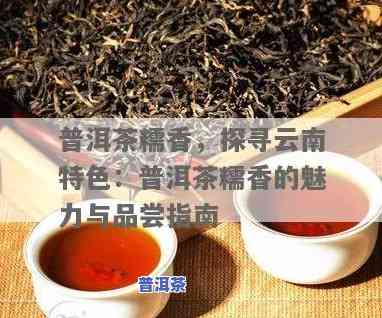 糯香普洱茶，品味醇厚，感受自然——糯香普洱茶的魅力探索