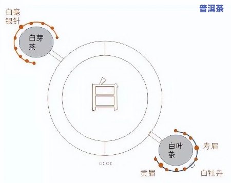 大白菜普洱茶试饮怎么喝好，怎样正确品尝大白菜普洱茶：一份详细的试饮指南