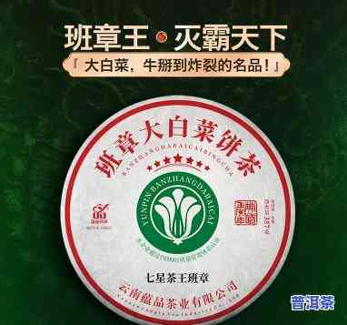 大白菜普洱茶试饮怎么喝好，怎样正确品尝大白菜普洱茶：一份详细的试饮指南