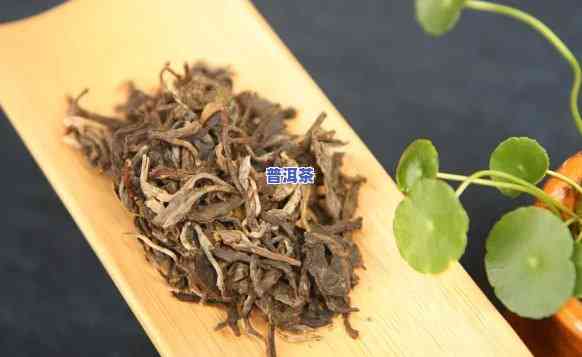 大昌号普洱茶官方网站：熟悉大昌号普洱茶产品及生茶信息