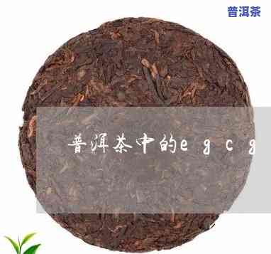 普洱茶egcg会消失吗-普洱茶会失效吗