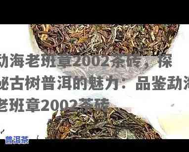 2002年老班章茶砖，探秘老班章：2002年的传奇茶砖