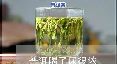 普洱茶有尿味正常吗？能喝吗？怎么解决？