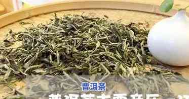 江南之一茶市有普洱茶吗-江南之一茶市在哪里