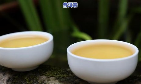 好的普洱熟茶什么样-好的普洱熟茶是什么样的