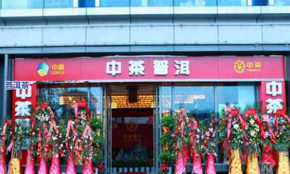 昆明西山区中茶普洱茶店地址查询