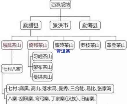 深入探索普洱饮食口味：特点与特征