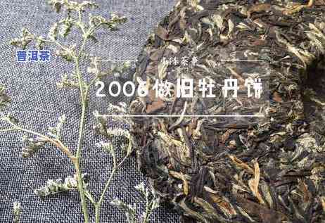 普洱茶新工艺做旧的区别：全面解析与比较