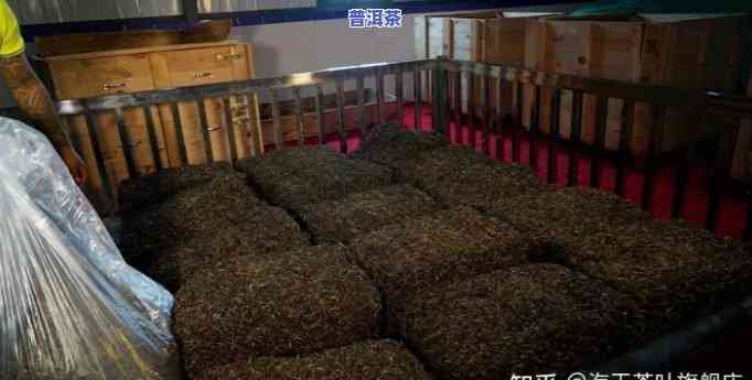 深入熟悉普洱熟茶渥堆工艺及其特点与种类