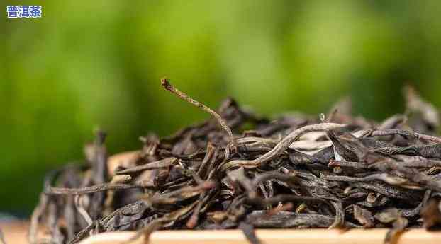 新益号普洱茶生茶，品味健康生活：新益号普洱茶生茶，带您领略特别的茶香世界！