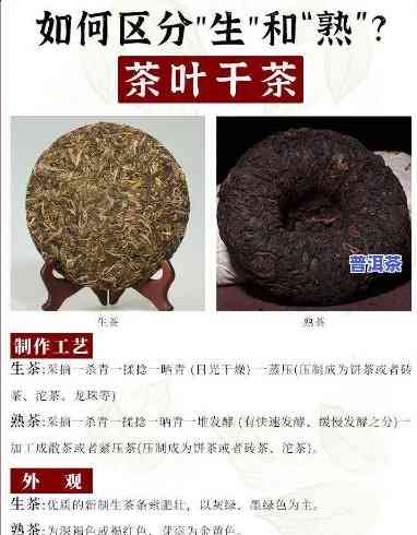 普洱茶熟茶相关疑问解答，深入熟悉普洱茶熟茶：常见疑问与解答