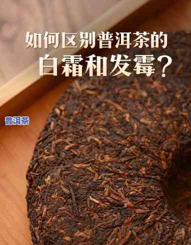 普洱茶怎么会有霉味，揭开普洱茶的神秘面纱：为何会有霉味？