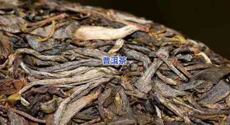 小块普洱茶冲泡的9个步骤和方法，普洱茶冲泡全攻略：小块茶叶的9个步骤与方法