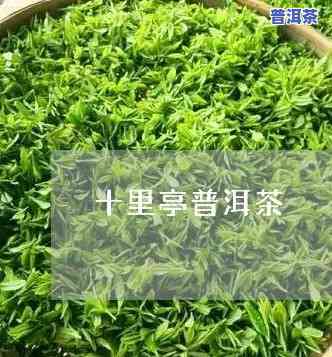 十里亭普洱茶价格多少钱-十里亭普洱茶价格多少钱一斤