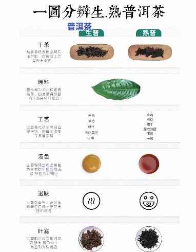 深入解析：普洱熟茶成分及起因分析图与图片