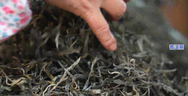 生普洱茶怎么保存更好，生普洱茶的正确储存方法：怎样让茶叶保持更佳状态？