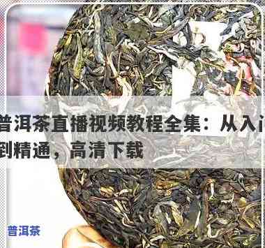 拼配普洱茶视频大全教程-拼配普洱茶视频大全教程下载