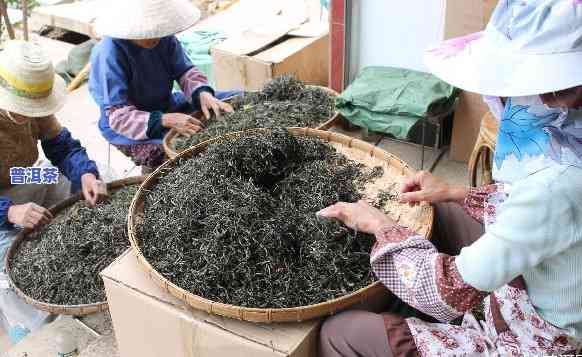 拼配普洱茶视频大全图片高清，高清大图：拼配普洱茶制作全过程视频