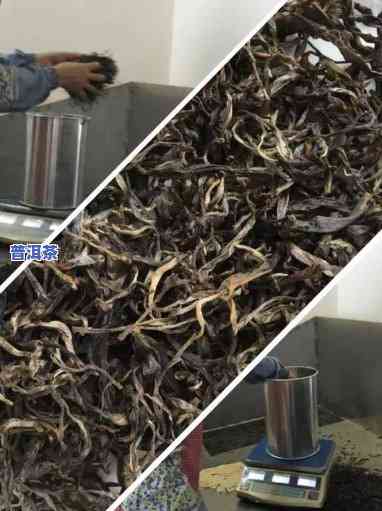 拼配普洱茶视频大全图片高清，高清大图：拼配普洱茶制作全过程视频