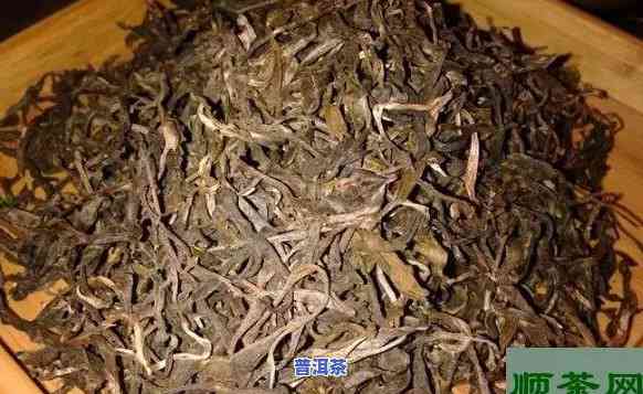 普洱有点霉味还能喝吗？有无害风险？