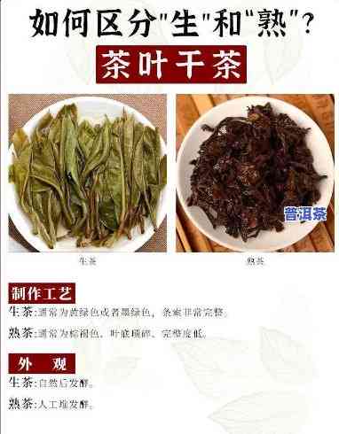 普洱熟茶的干燥宜用什么茶叶，揭秘普洱熟茶干燥：哪种茶叶最适合采用？