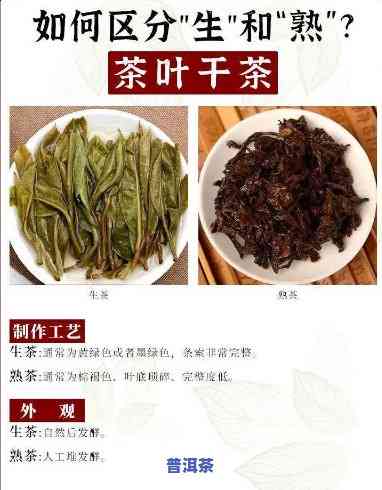 普洱熟茶干茶特征，探索普洱熟茶的魅力：深入熟悉其干茶特征