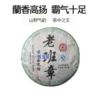 勐海老班章天幸茶业-勐海天茗茶厂老班章