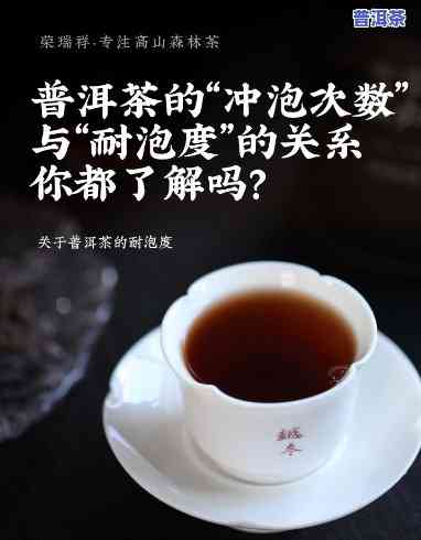 普洱熟茶泡几克更佳？详解口感与用量的关系