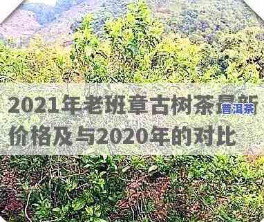 老班章大树茶价格走势与2021年生茶、古树茶价格对比分析