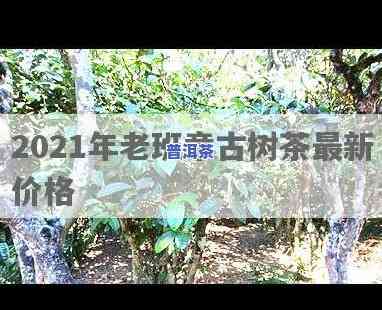 老班章大树茶价格走势与2021年生茶、古树茶价格对比分析