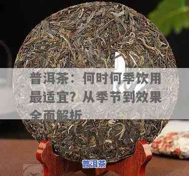 普洱哪个季节喝，四季皆宜，详解普洱茶的更佳饮用时机