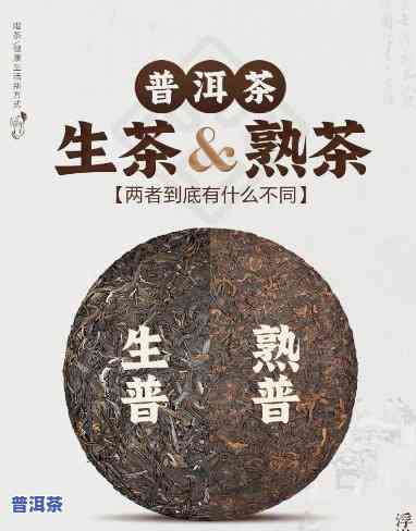 生熟普洱茶煮饮方法视频教程：怎样煮出好喝的普洱茶？